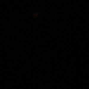 ISO ugg boots size 8, 8.5, or 9 women’s.